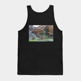 The Old Barrington Quarry Tank Top